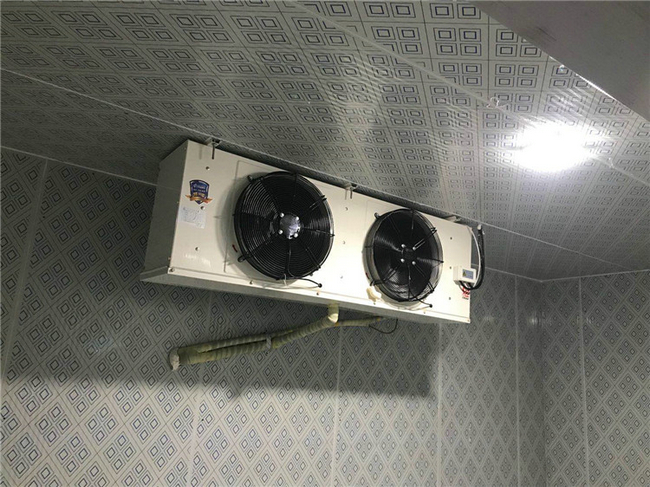 冷库温控器用什么类型的好