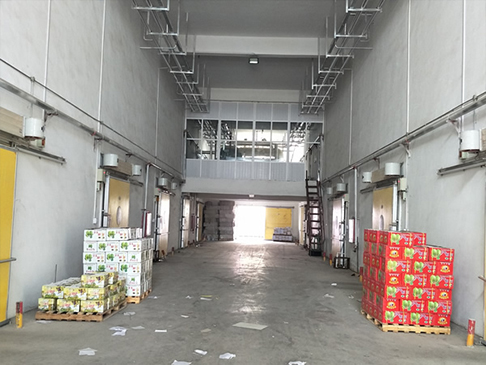 果蔬保鲜冷藏库 果蔬保鲜冷藏库