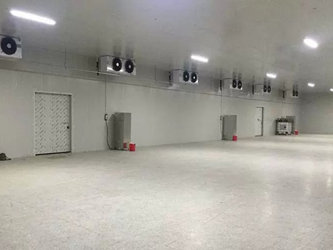 建造3000吨保鲜冷库大概需要多少钱