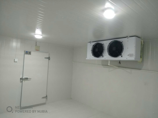 杭州蔬菜水果冷库建造 保鲜冷库出入库流程