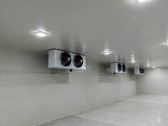 金华建造50吨水果保鲜库造价要多少钱