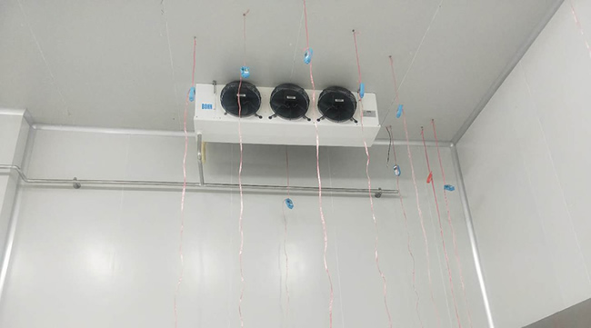 建造个芒果冷库价格要多少钱？